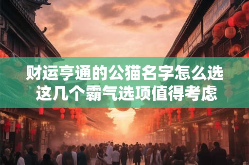 财运亨通的公猫名字怎么选 这几个霸气选项值得考虑