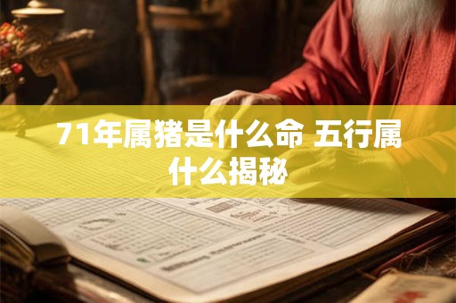 71年属猪是什么命 五行属什么揭秘