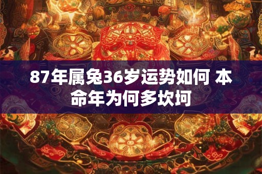 87年属兔36岁运势如何 本命年为何多坎坷