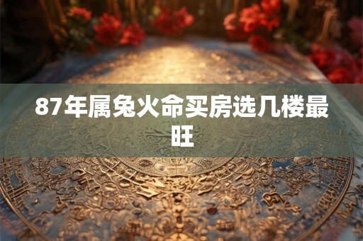 87年属兔火命买房选几楼最旺