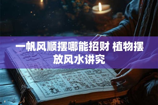 一帆风顺摆哪能招财 植物摆放风水讲究
