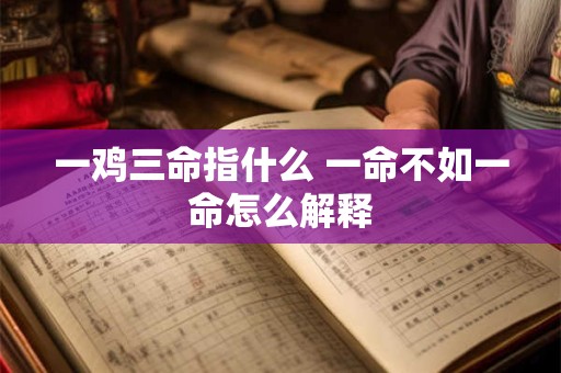 一鸡三命指什么 一命不如一命怎么解释