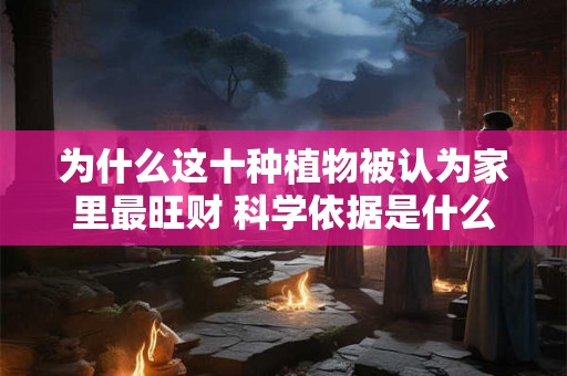 为什么这十种植物被认为家里最旺财 科学依据是什么