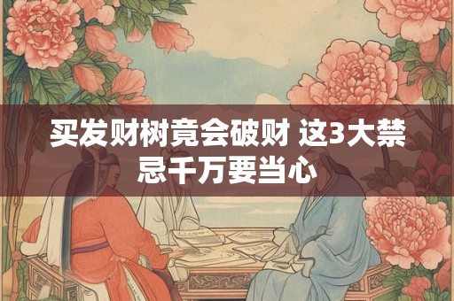 买发财树竟会破财 这3大禁忌千万要当心