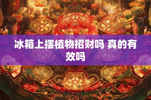 冰箱上摆植物招财吗 真的有效吗