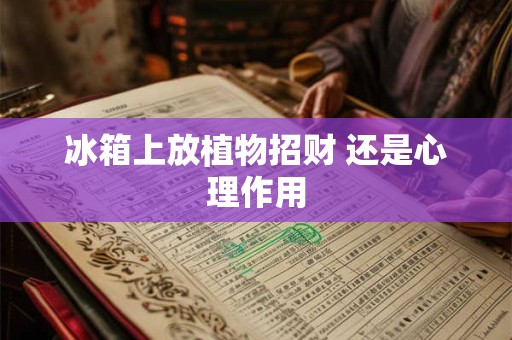 冰箱上放植物招财 还是心理作用