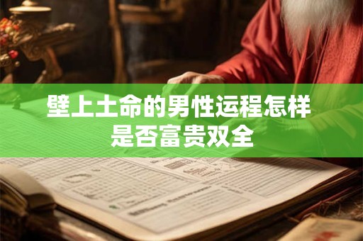 壁上土命的男性运程怎样 是否富贵双全