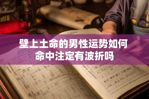 壁上土命的男性运势如何 命中注定有波折吗