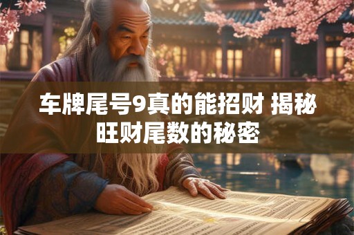 车牌号码测吉凶查询免费 如何操作