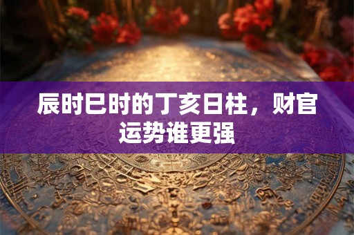 辰时巳时的丁亥日柱，财官运势谁更强