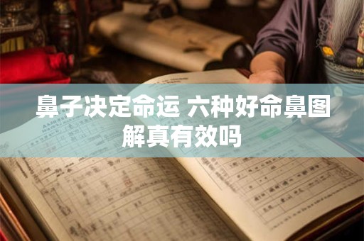 鼻子决定命运 六种好命鼻图解真有效吗