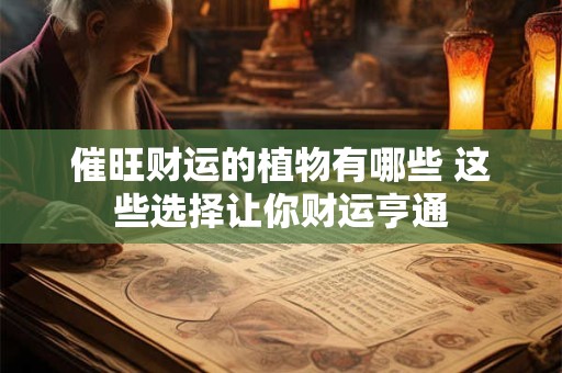 催旺财运的植物有哪些 这些选择让你财运亨通