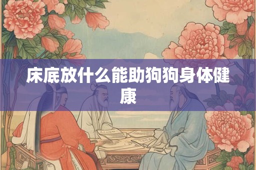 床底放什么能助狗狗身体健康