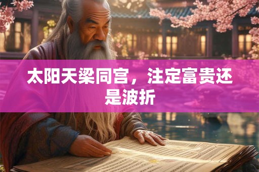 太阳天梁同宫，注定富贵还是波折