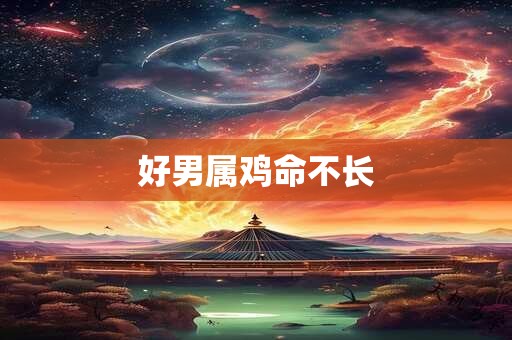 好男属鸡命不长