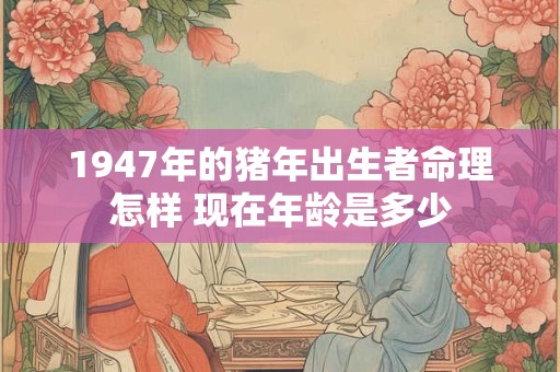 1947年的猪年出生者命理怎样 现在年龄是多少