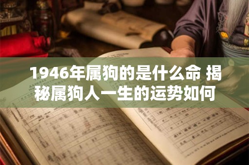 1947年属猪人是否长寿 命理学与健康关系大解析
