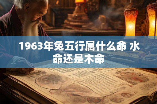 1963年兔五行属什么命 水命还是木命