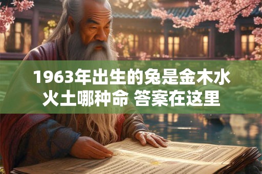 1963年出生的兔是金木水火土哪种命 答案在这里