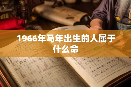 1966年马年出生的人属于什么命