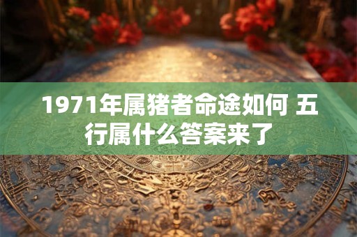 1971年属猪者命途如何 五行属什么答案来了