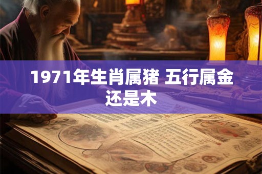 1971年生肖属猪 五行属金还是木