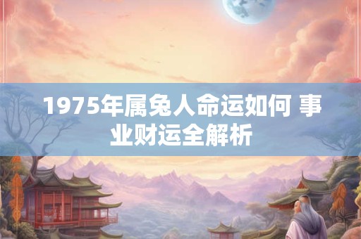 1975年属兔人命运如何 事业财运全解析