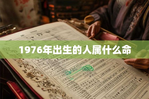 1976年出生的人属什么命