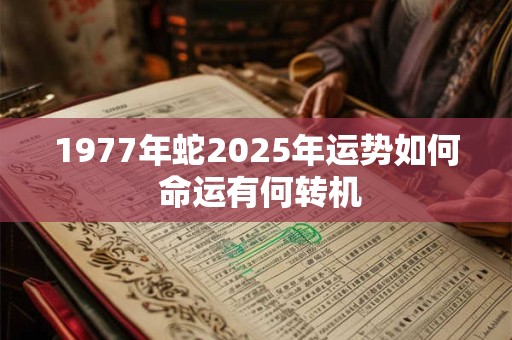 1977年蛇2025年运势如何 命运有何转机