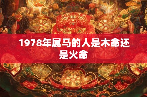 1978年属马者44岁财运如何 关键年份要注意什么