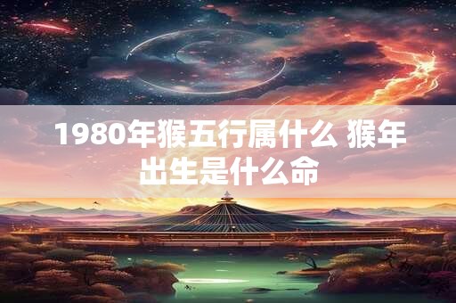 1980年猴五行属什么 猴年出生是什么命