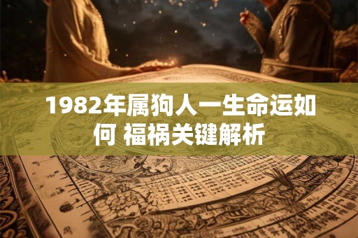 1982年属狗人一生命运如何 福祸关键解析