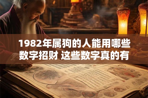 1982年属狗的人能用哪些数字招财 这些数字真的有效吗