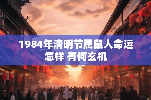 1984年清明节属鼠人命运怎样 有何玄机