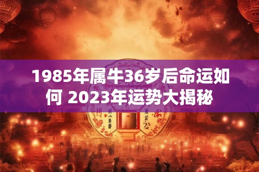 1985年出生的牛人，哪几年财运最亨通