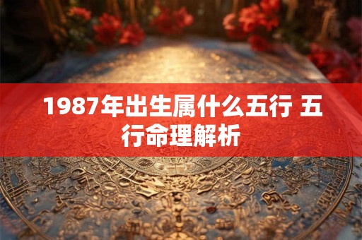 1987年出生属什么五行 五行命理解析