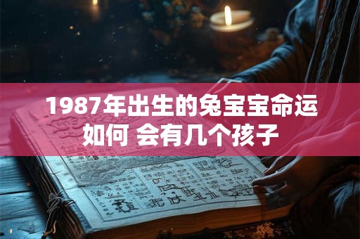 1987年出生的兔宝宝命运如何 会有几个孩子