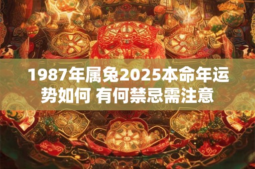 1987年属兔2025本命年运势如何 有何禁忌需注意