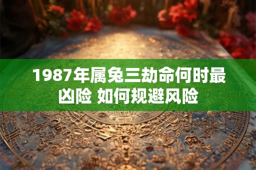 1987年属兔三劫命何时最凶险 如何规避风险