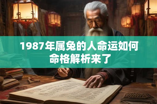 1987年属兔的人命运如何 命格解析来了