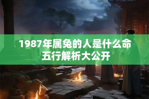 1987年属兔的人是什么命 五行解析大公开