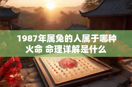 1987年属兔的人属于哪种火命 命理详解是什么