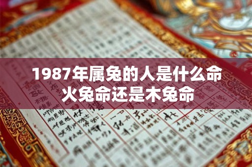 1987年属兔的人是什么命 火兔命还是木兔命