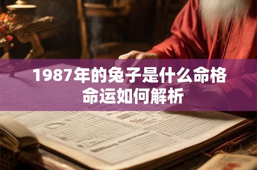 1987年的兔子是什么命格  命运如何解析