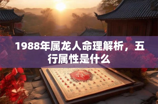 1988年属龙人命理解析，五行属性是什么