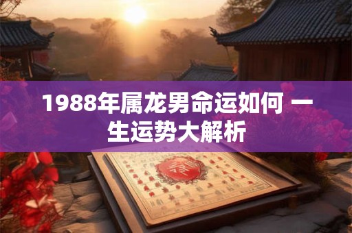 1988年属龙男命运如何 一生运势大解析