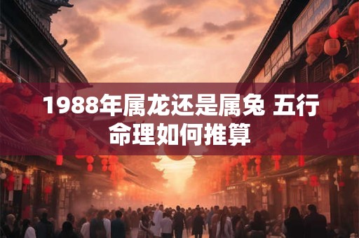 1988年属龙还是属兔 五行命理如何推算