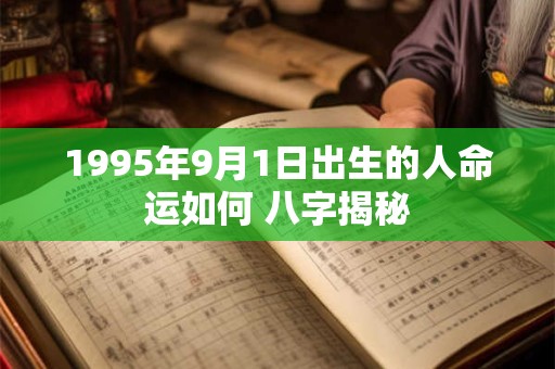 1995年9月1日出生的人命运如何 八字揭秘