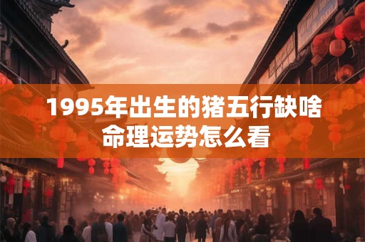 1995年出生的人是什么命 命理解析大揭秘