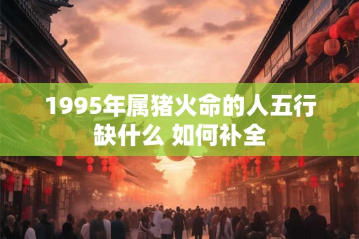 1995年属猪火命的人五行缺什么 如何补全